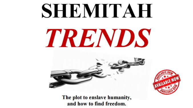 Shemitah Trends Book The Dollar Vigilante2