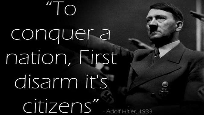 Guns-Hitler - The Dollar Vigilante